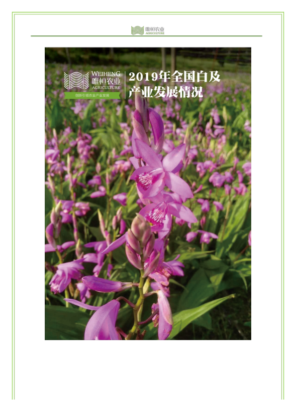 2019年全国白及产业发展情况