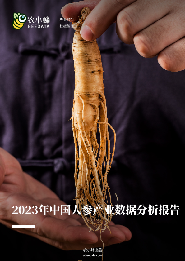 2023年中国人参产业数据分析简报