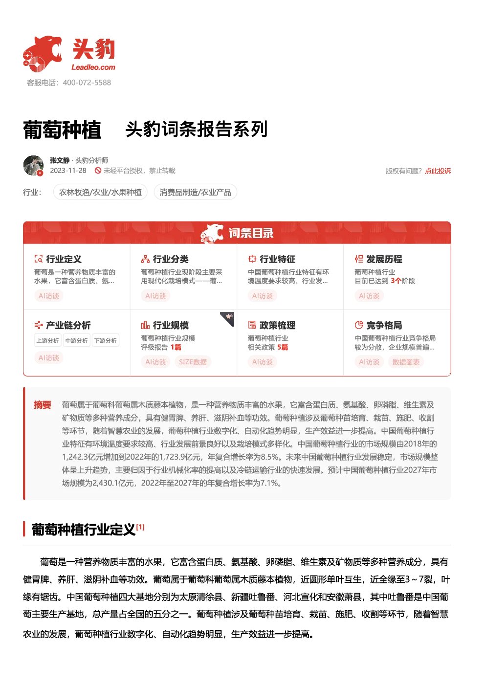 报告封面