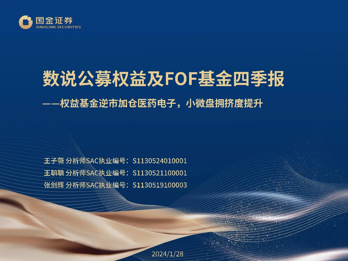 国金证券：电子日报
