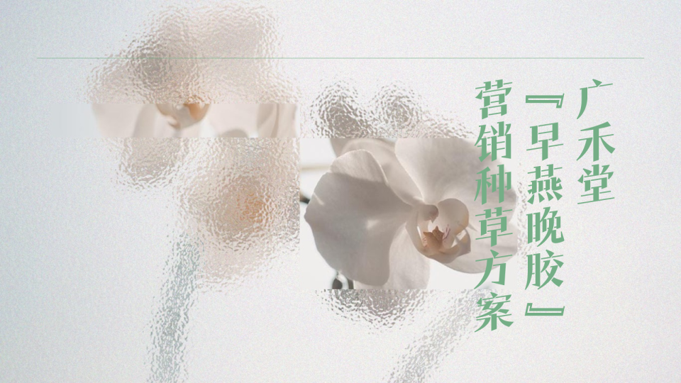 2023广禾堂早燕晚胶盏营销种草方案