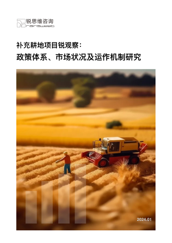 补充耕地项目锐观察：政策体系、市场状况及运作机制研究