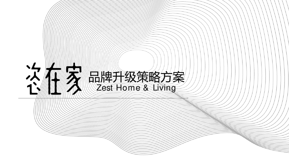 2023恣在家家居品牌升级策略方案