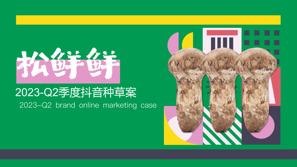 2023松鲜鲜第二季度抖音种草方案