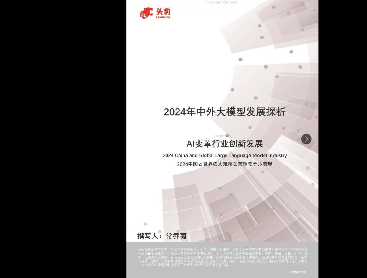 2024年中外大模型发展探析