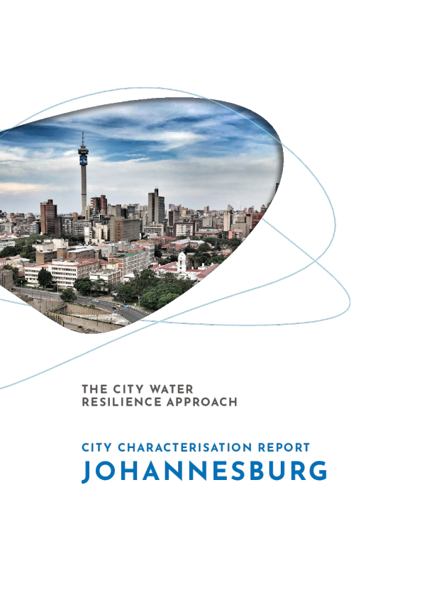 城市特征报告约翰内斯堡