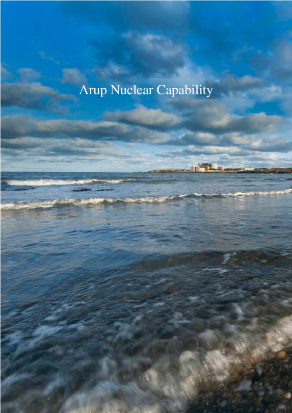 Arup 核能力
