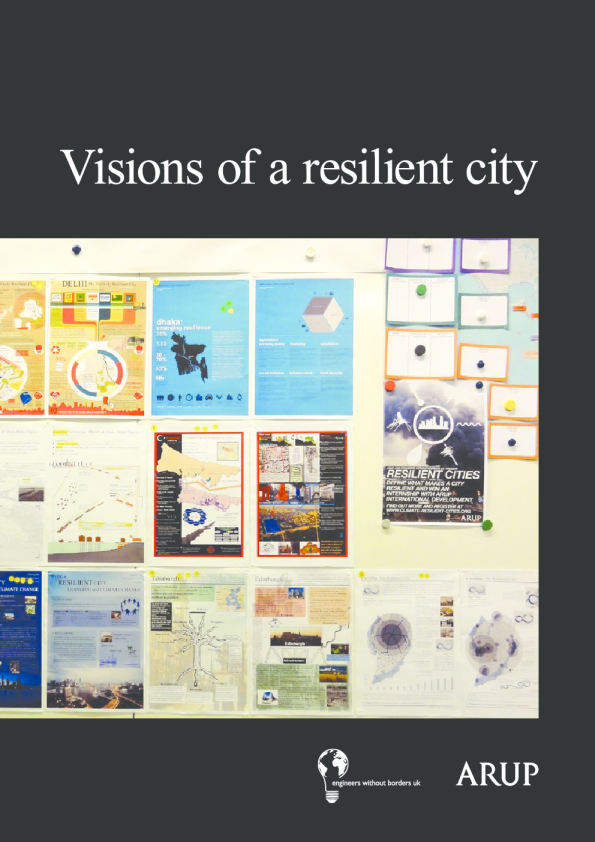 弹性城市的愿景