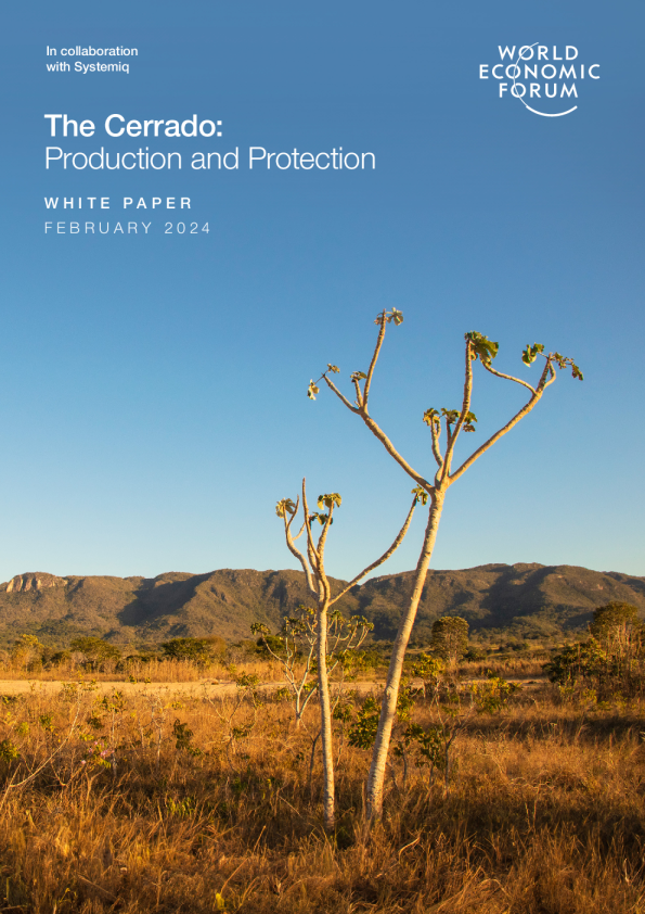 The Cerrado ： 生产与保护