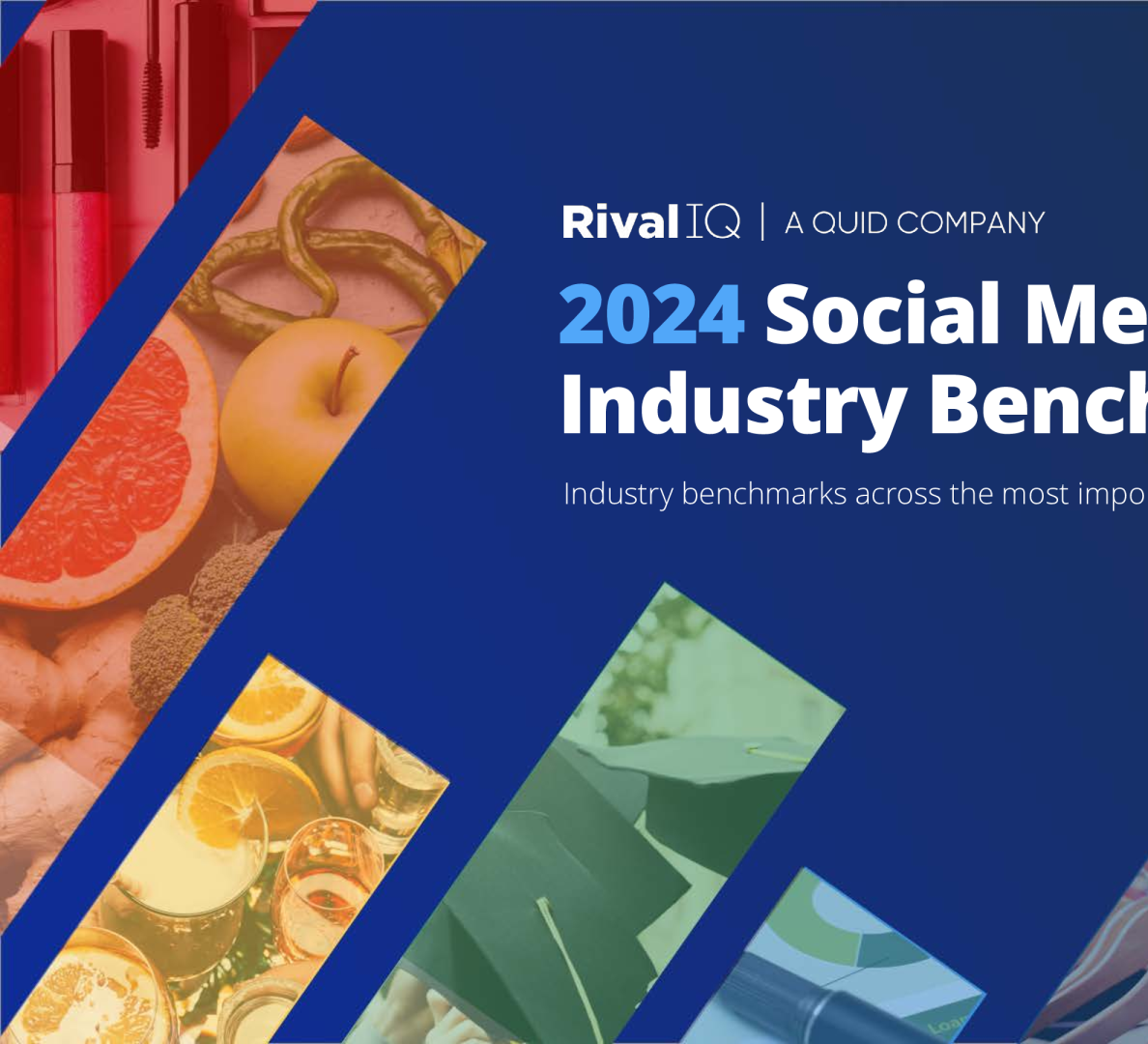 2024 Social Media Industry Benchmark Report