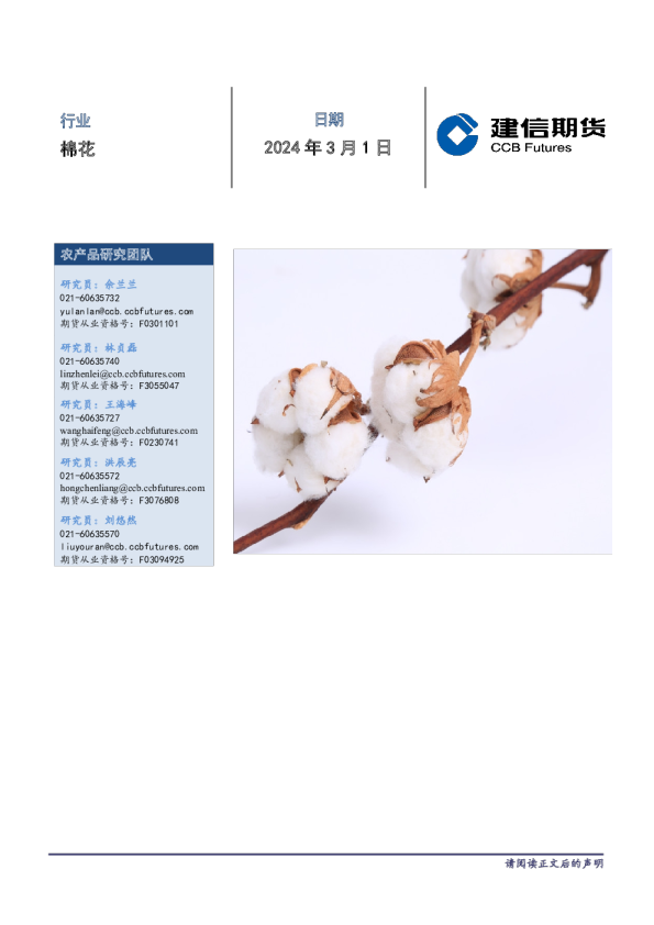 棉花每日报告