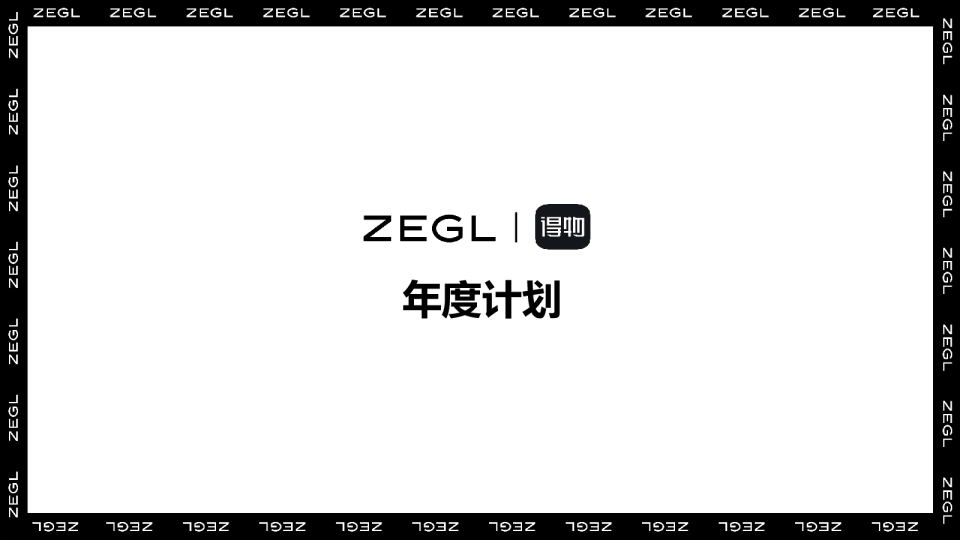 ZEGL饰品品牌运营年度计划