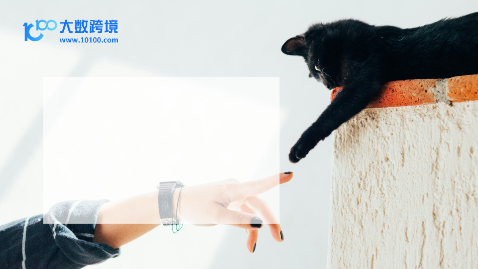2024宠物用品市场洞察报告