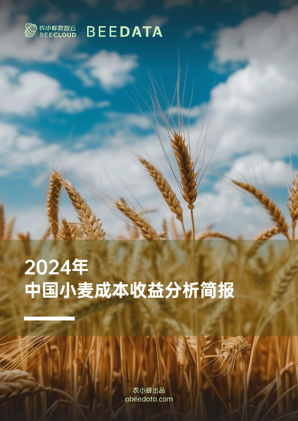 农业：2024年中国小麦成本收益分析简报