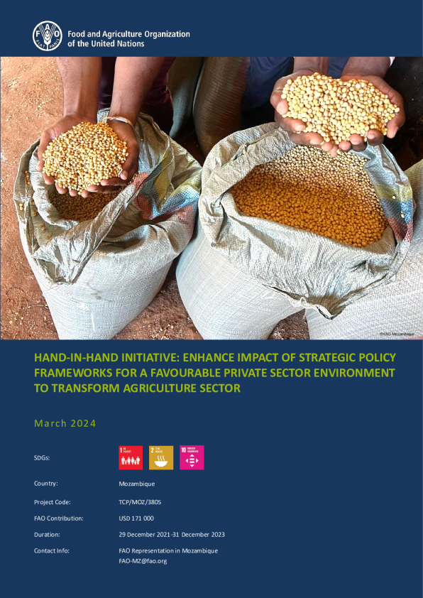 携手倡议：加强战略政策框架的影响，营造有利的私营部门环境，推动农业部门转型