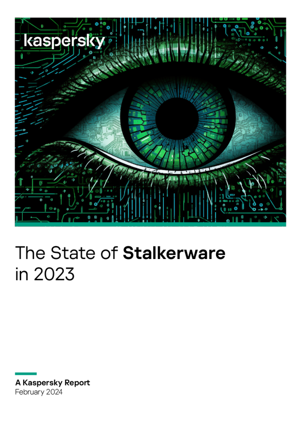 《2023-2024年斯凯勒软件现状》