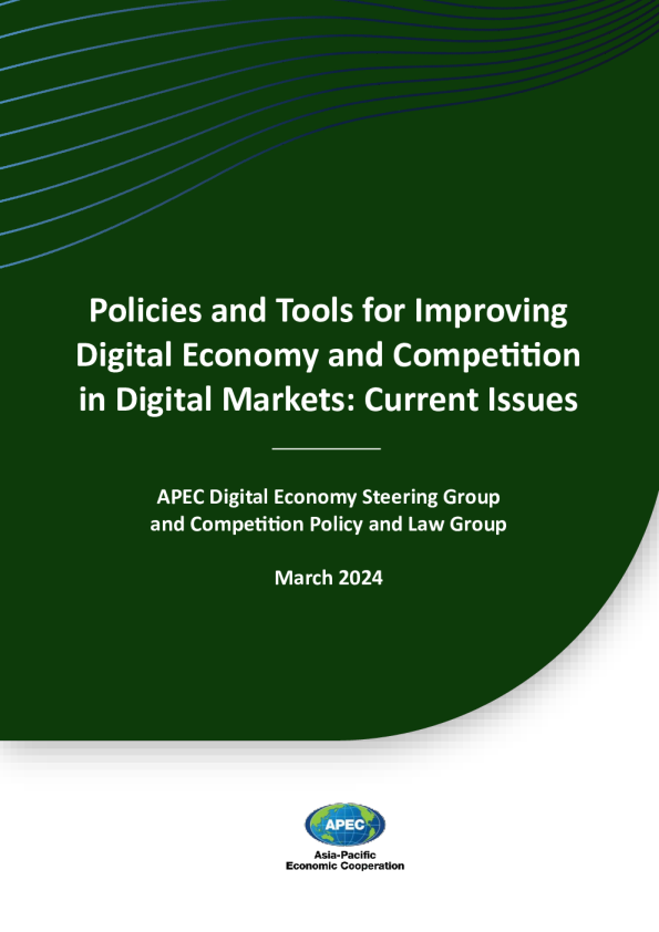 政策与工具：提升数字经济及数字市场竞争力的当前问题