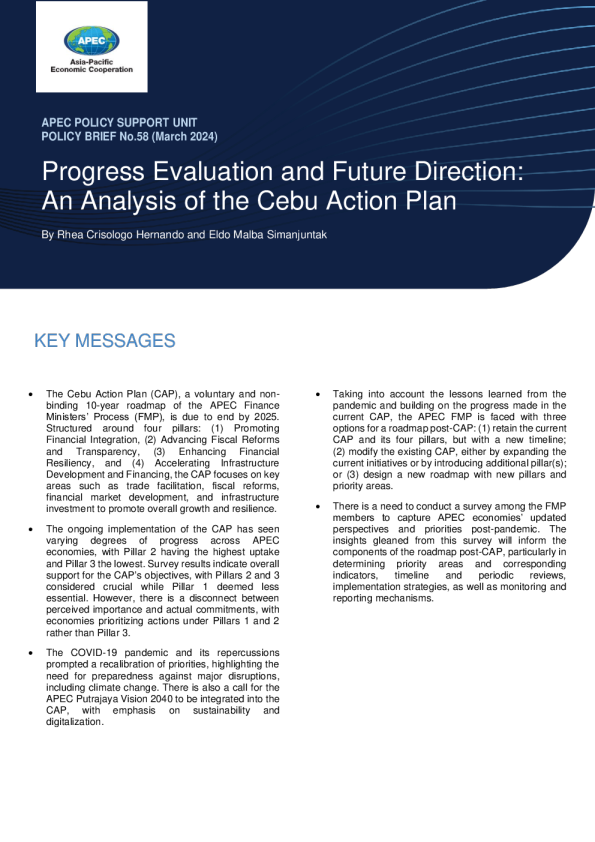 进度评估与未来方向：塞布行动计划分析