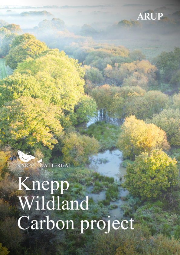 克内普野地碳项目