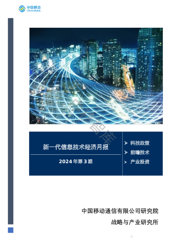 新一代信息技术经济月报2024年第3期