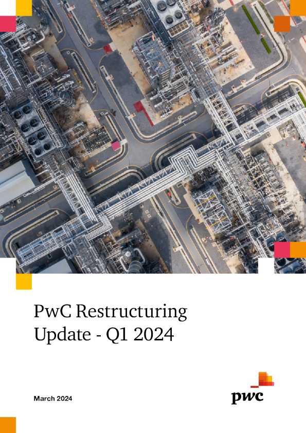 普华永道重组 - 2024 年第一季度(新)