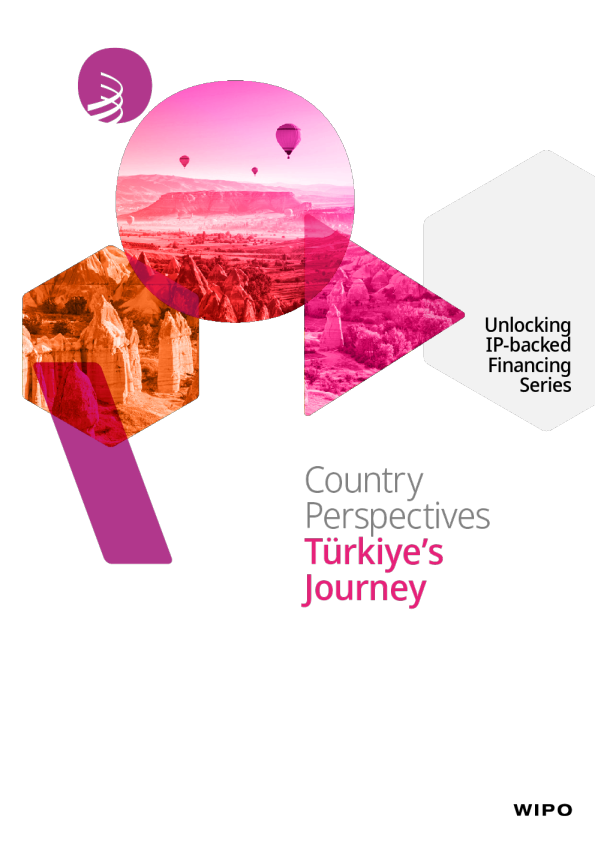 国家视角：土耳其之旅