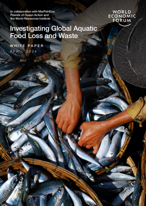 调查全球水生食物损失和浪费