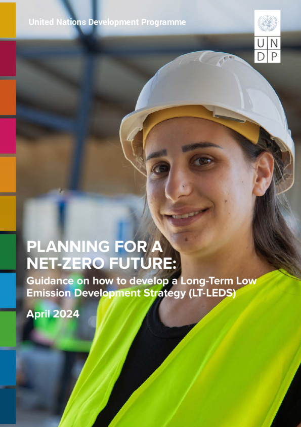 净零未来的规划 :关于如何制定长期低排放发展战略的指南