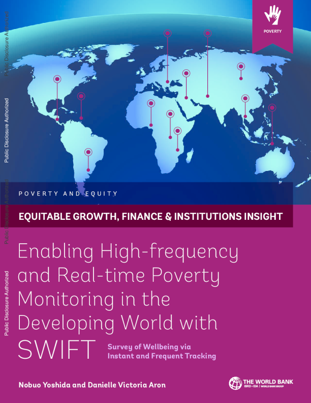 利用 SWIFT 实际进展中本国