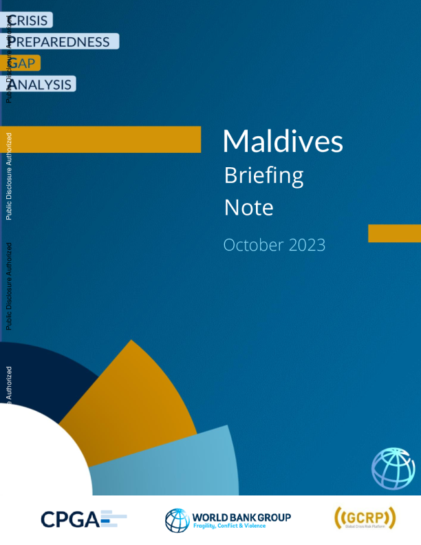危机准备差距分析