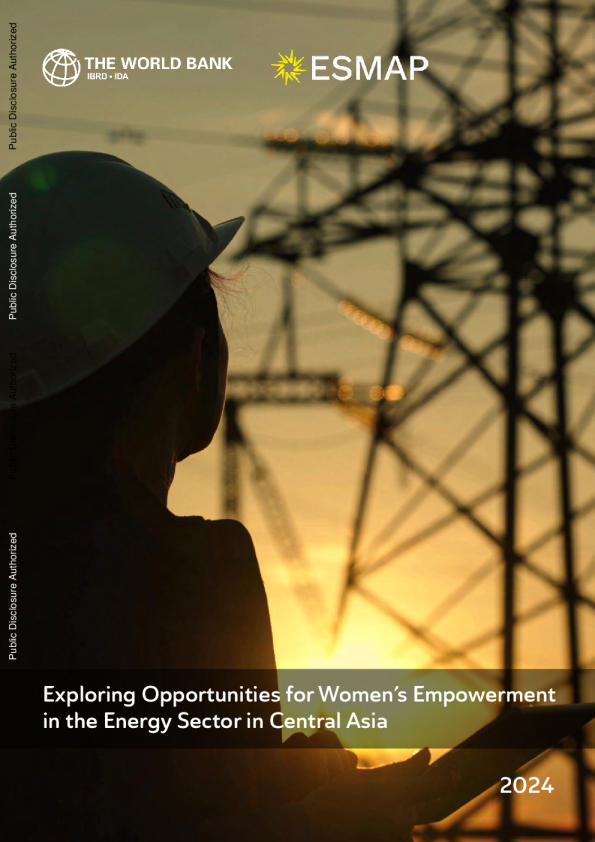探讨在中亚能源部门增强妇女权能的机会2024