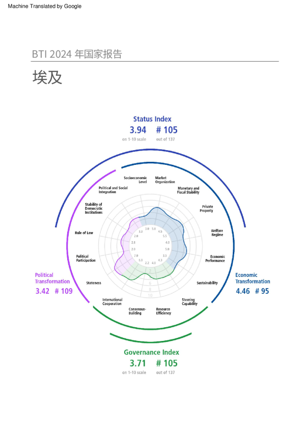 埃及2024年国家报告（中文）