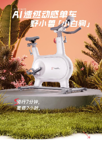 野小兽AI单车品牌升级策略案