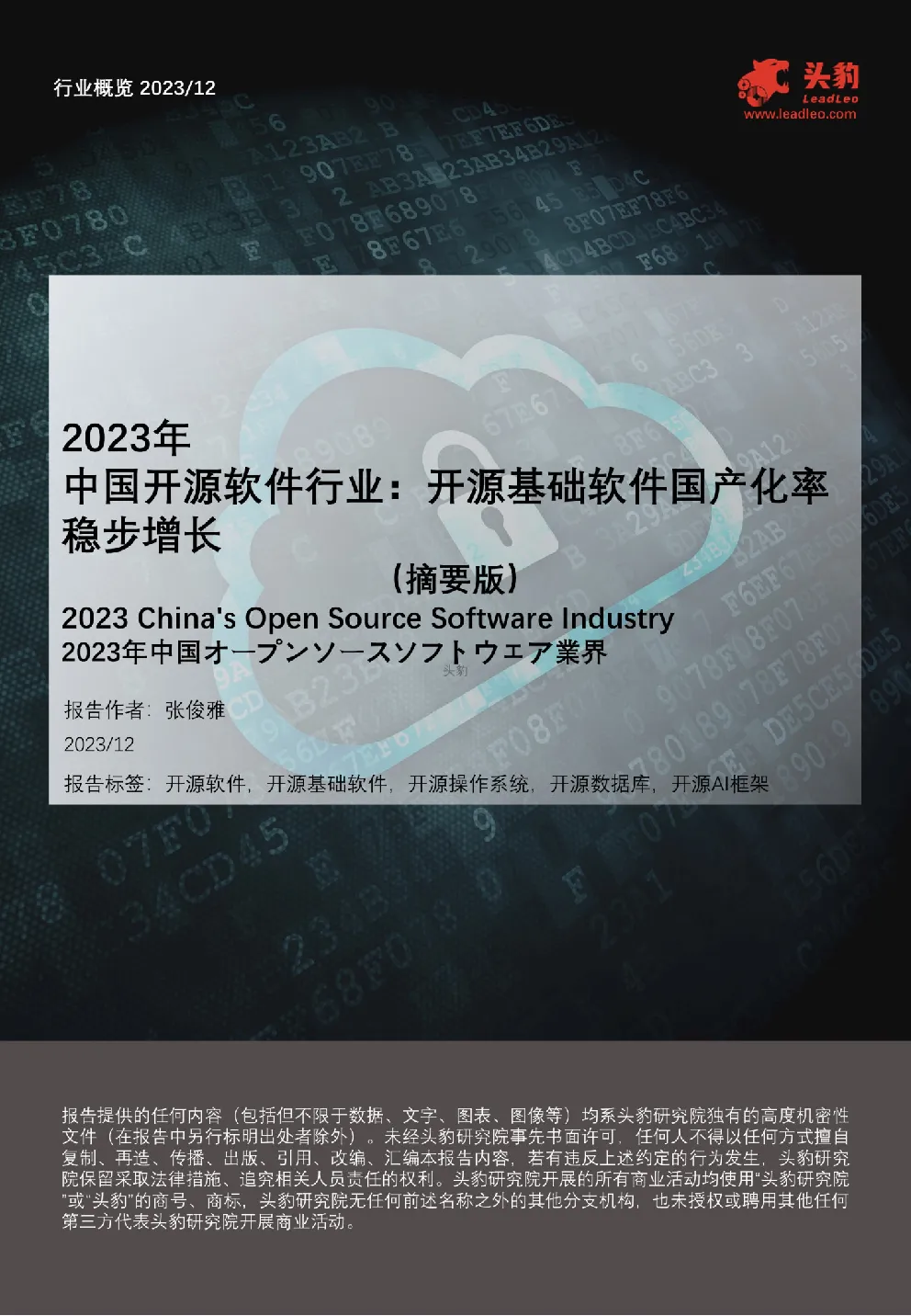 报告封面