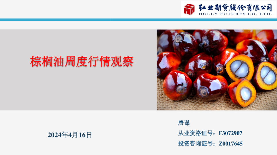 棕榈油周度行情观察