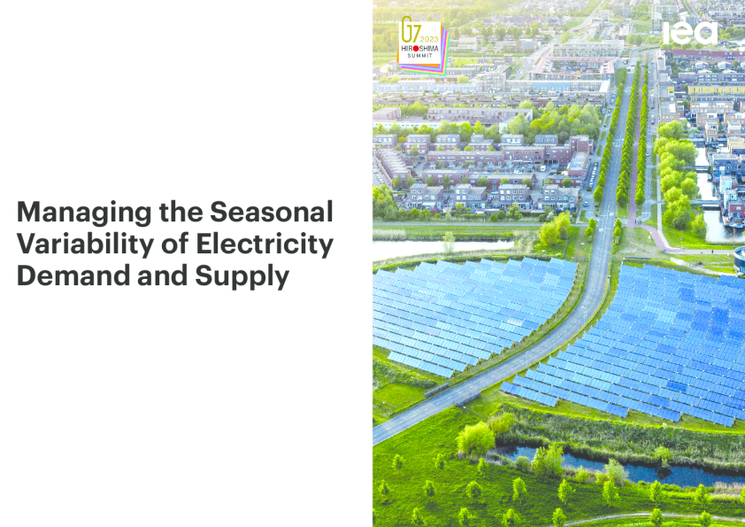 Managing the Seasonal Variability of Electricity Demand and Supply