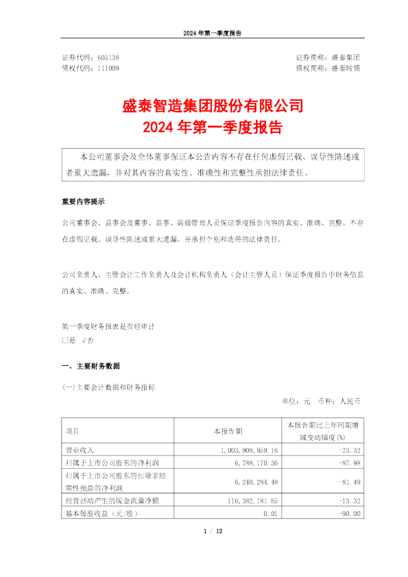 盛泰集团：2024年第一季度报告