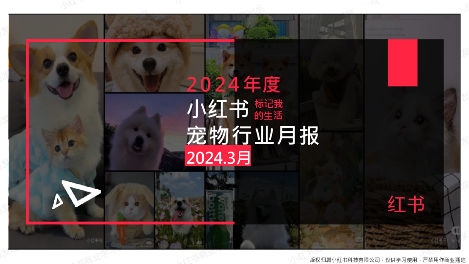 小红书宠物行业月报（2024年3月）