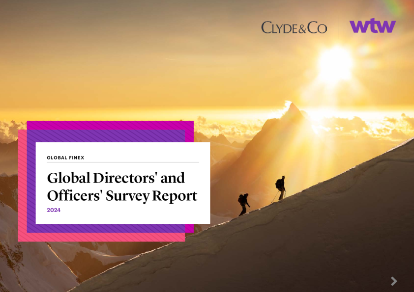 2024年全球董事及高管网络风险调研报告