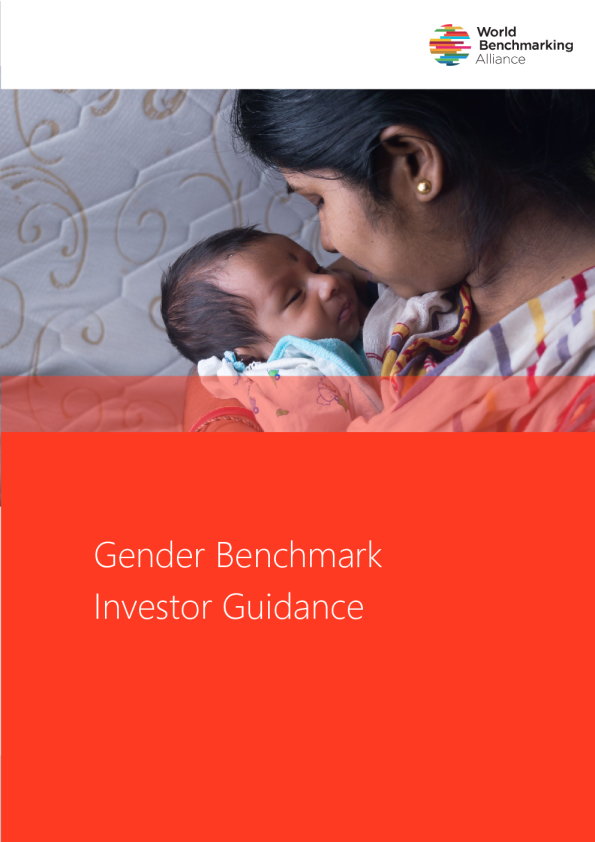 性别基准:投资者指南