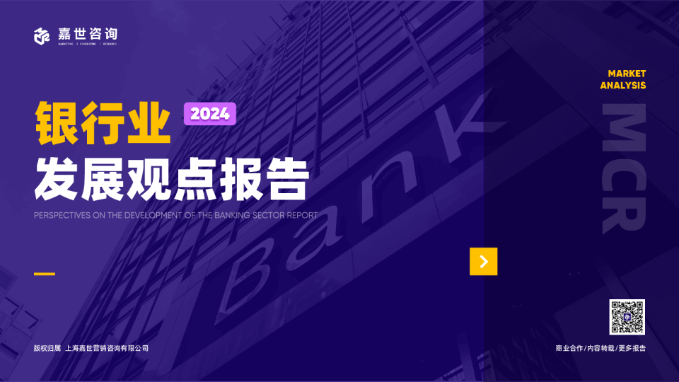 2024银行业发展观点报告