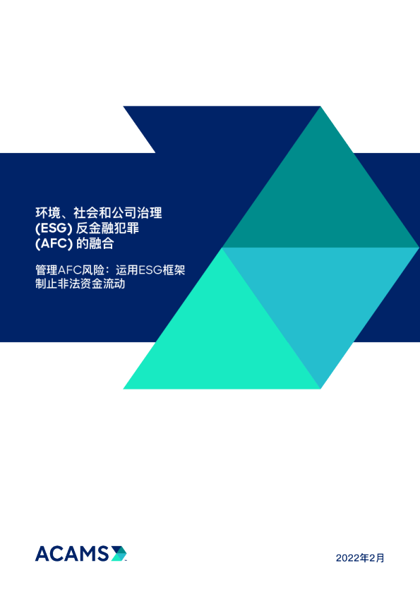 管理AFC风险:运用ESG框架制止非法资金流动