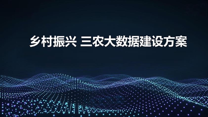 乡村振兴 三农大数据方案（62页）