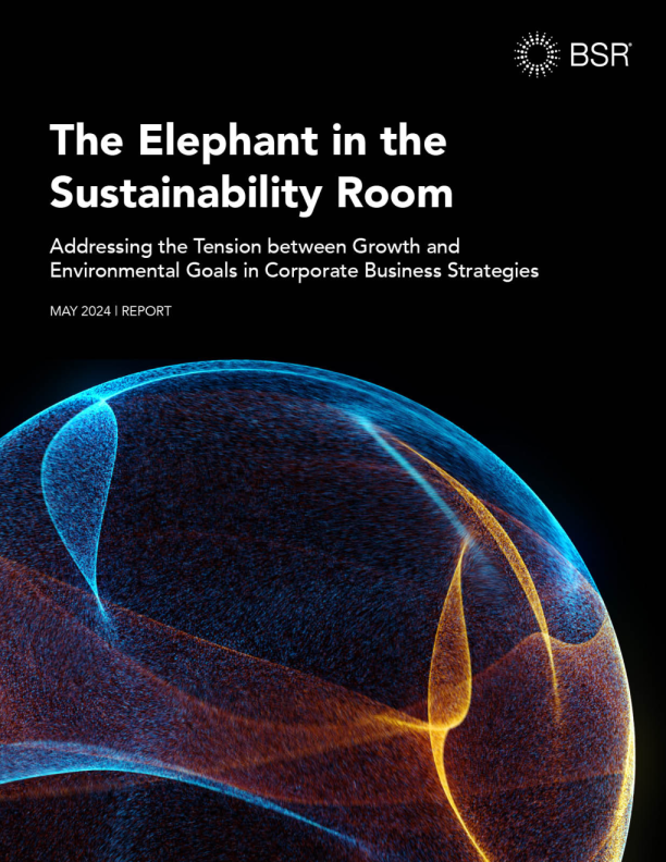 可持续发展室中的大象