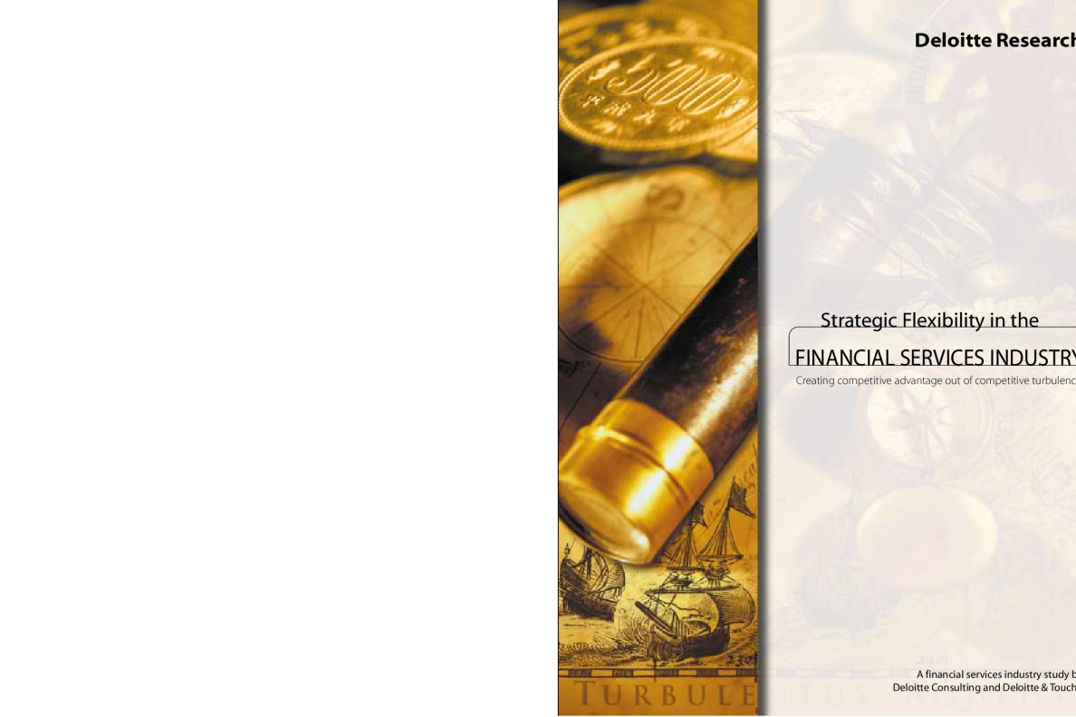 金融服务公司的战略伸缩性