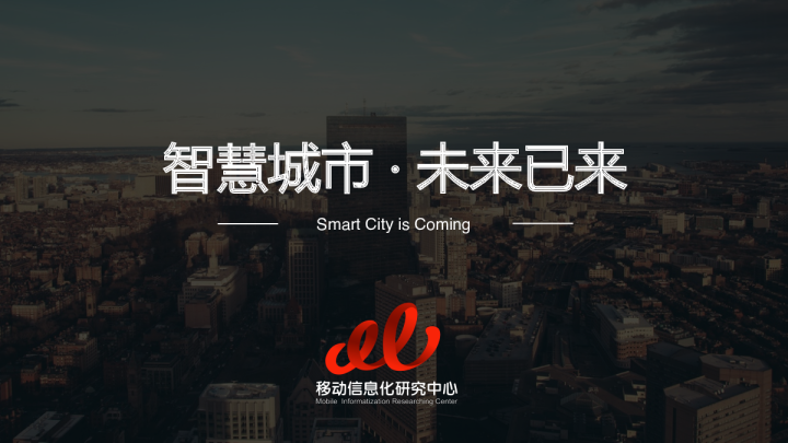 中国智慧城市发展报告