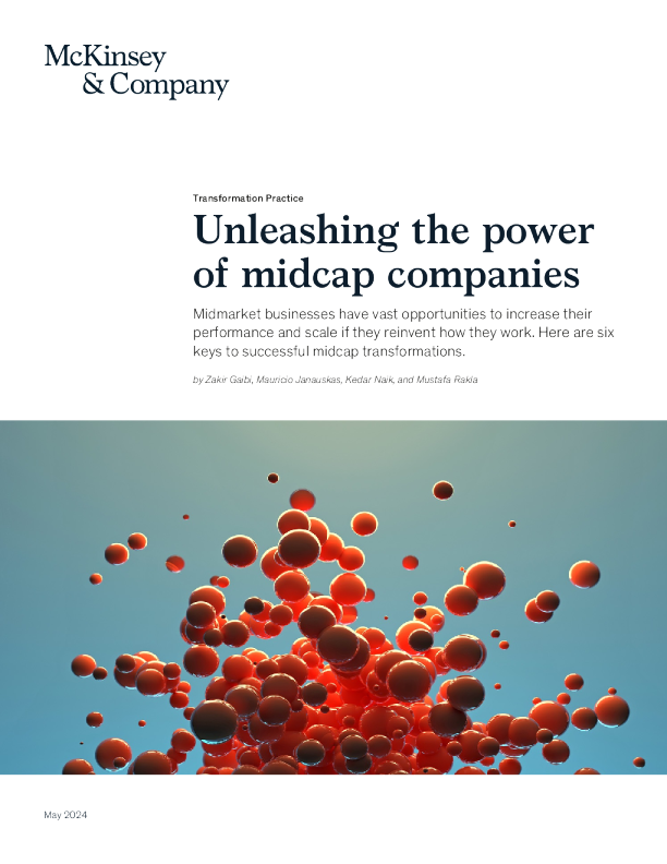 释放中型公司的力量