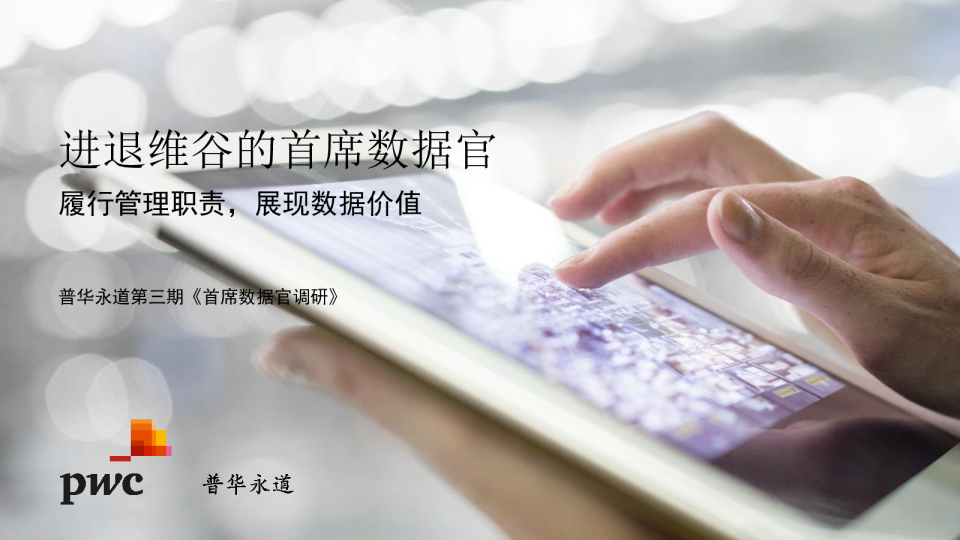 进退维谷的首席数据官调研