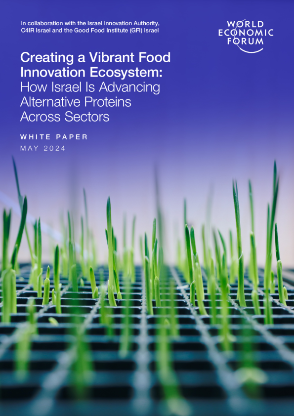 通过替代蛋白质创建充满活力的食品创新生态系统