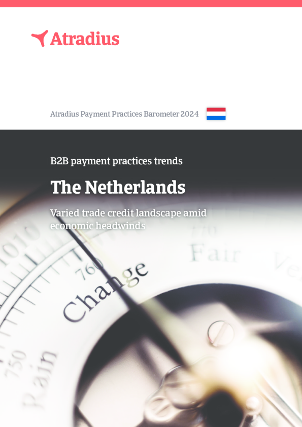 B2B 支付实践趋势 ， 荷兰 2024